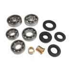 Sada ložísk, gufier a púzdier motora Jawa 50 Pionier