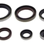 Sada gufier motora Beta RR 2T 250/300 (14-)